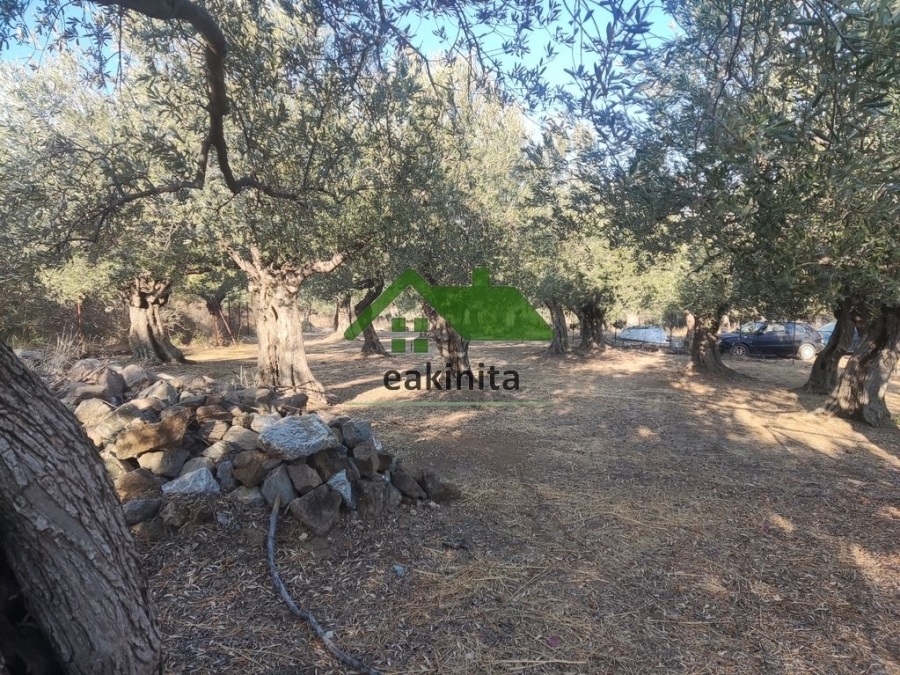 (Προς Πώληση) Αξιοποιήσιμη Γη Αγροτεμάχιο || Πειραιάς/Τροιζηνία - 1.600 τ.μ, 25.000€ 